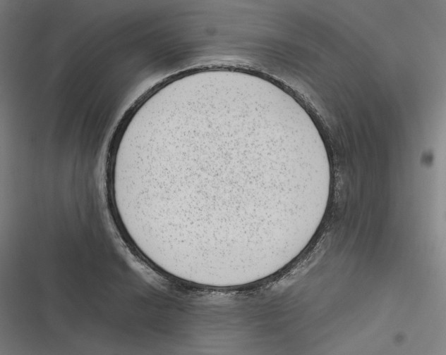 X0000116601038201001081145