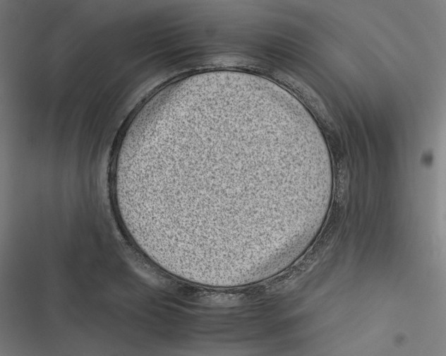 X0000116601039201001081145