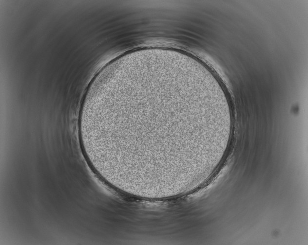 X0000116601041201001081145