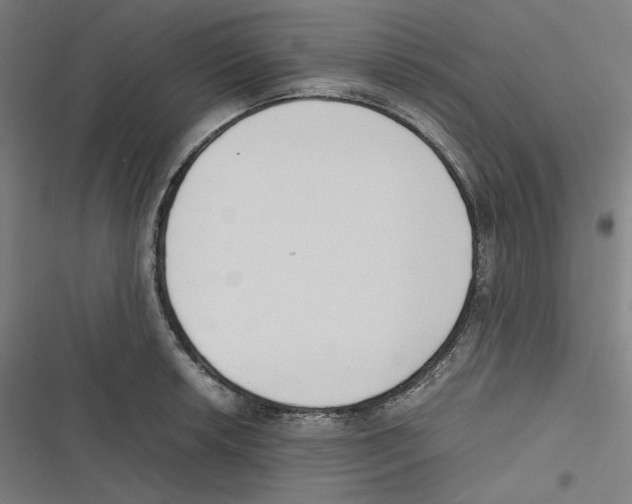 X0000116601042201001081145