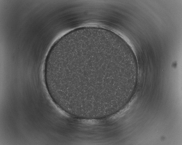 X0000116601045201001081145