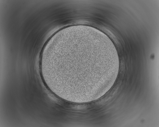 X0000116601047201001081145