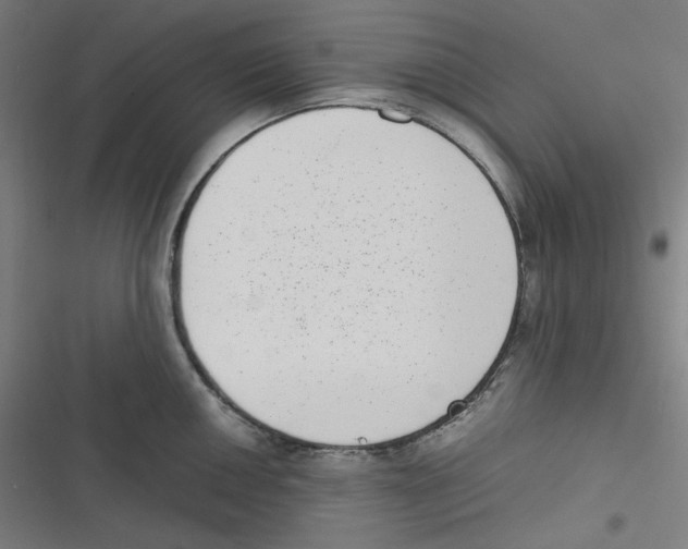 X0000116601050201001081145