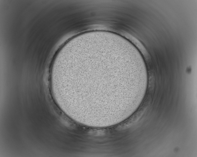 X0000116601051201001081145