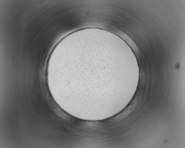 X0000116601052201001081145