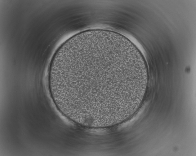 X0000116601053201001081145