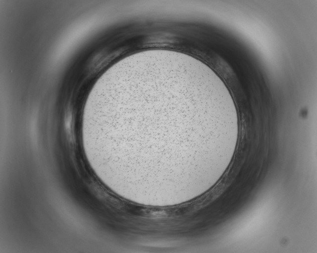 X0000116601054201001081145