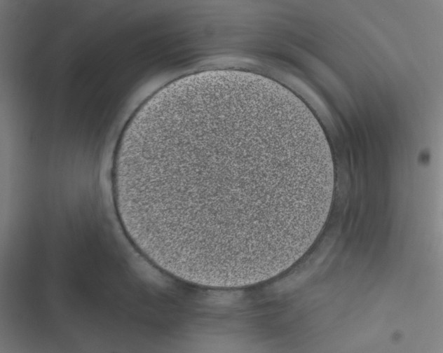 X0000116601055201001081145