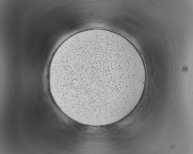 X0000116601056201001081145
