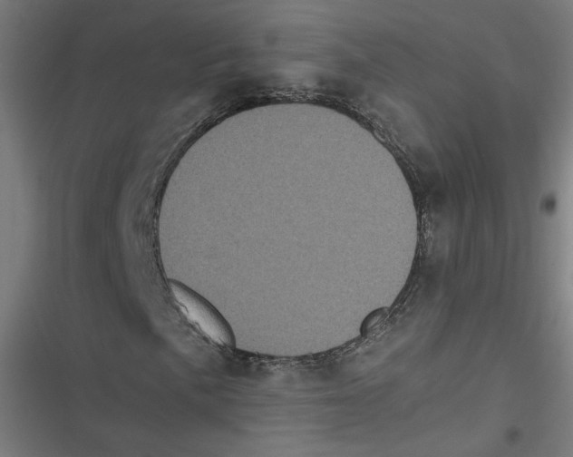 X0000116601057201001081145