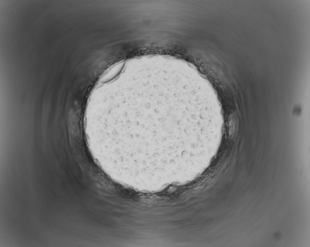 X0000116601059201001081145