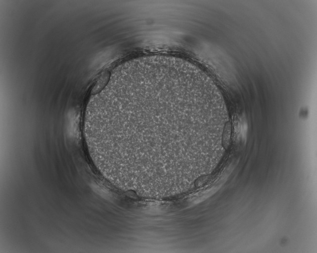 X0000116601060201001081145