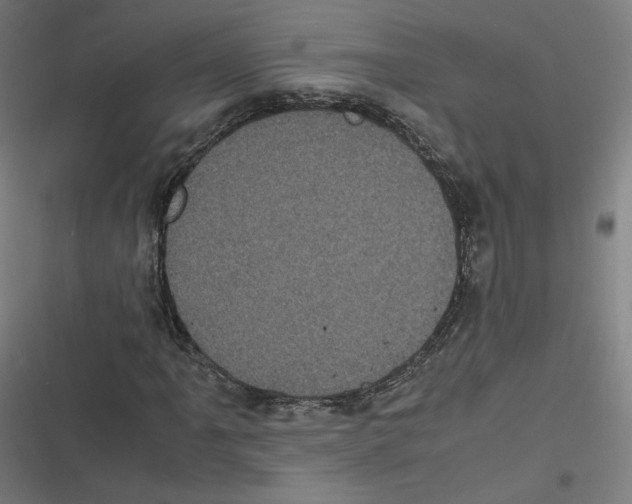 X0000116601061201001081145