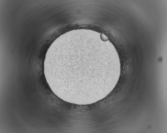 X0000116601062201001081145
