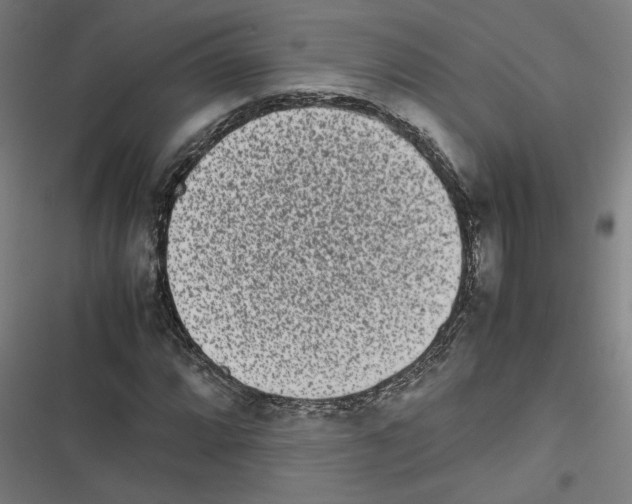 X0000116601064201001081145