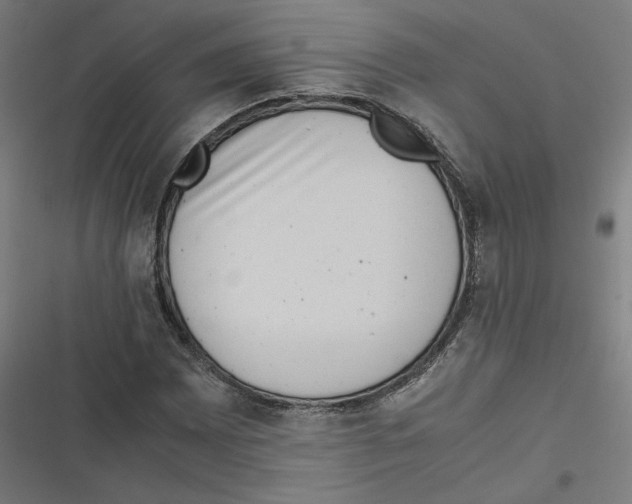X0000116601065201001081145