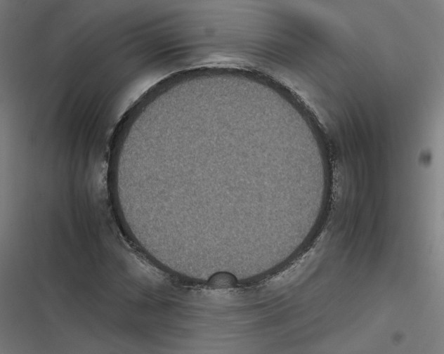 X0000116601066201001081145