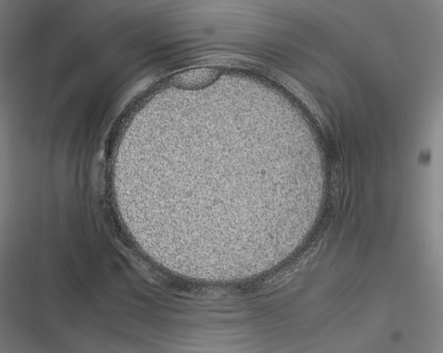 X0000116601067201001081145