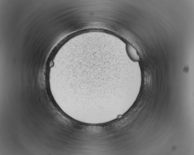 X0000116601068201001081145