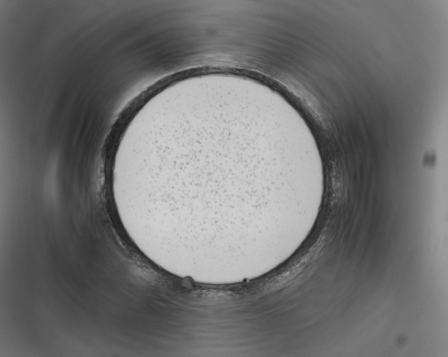 X0000116601070201001081145