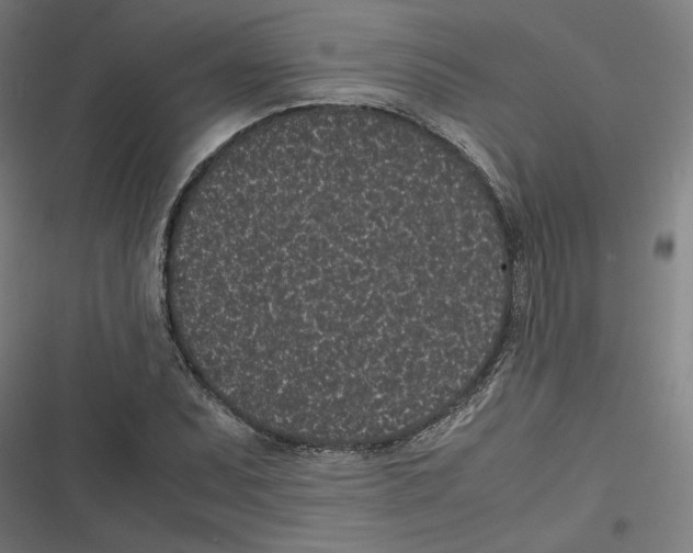 X0000116601071201001081145