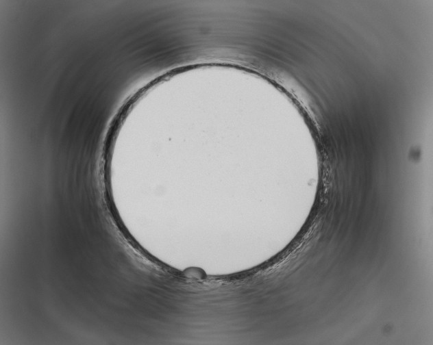 X0000116601072201001081145