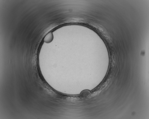 X0000116601073201001081145