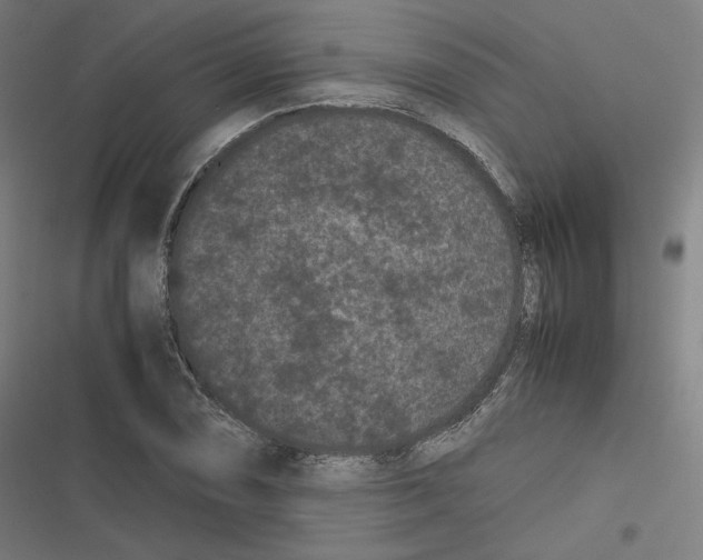 X0000116601074201001081145