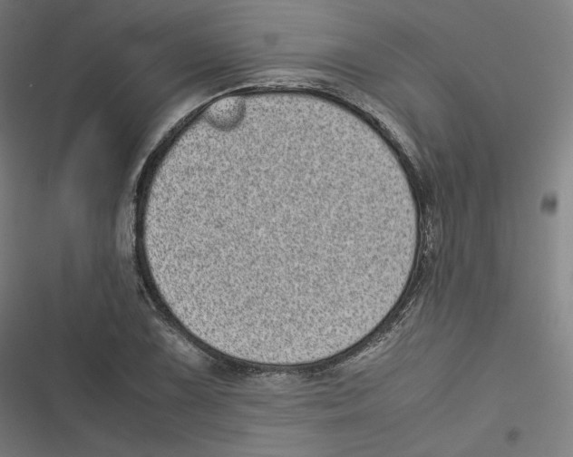 X0000116601075201001081145