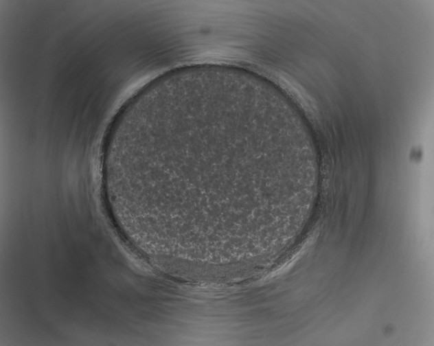 X0000116601077201001081145