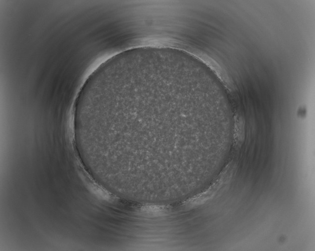 X0000116601078201001081145