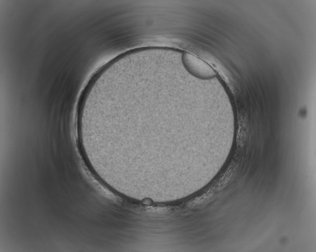 X0000116601080201001081144