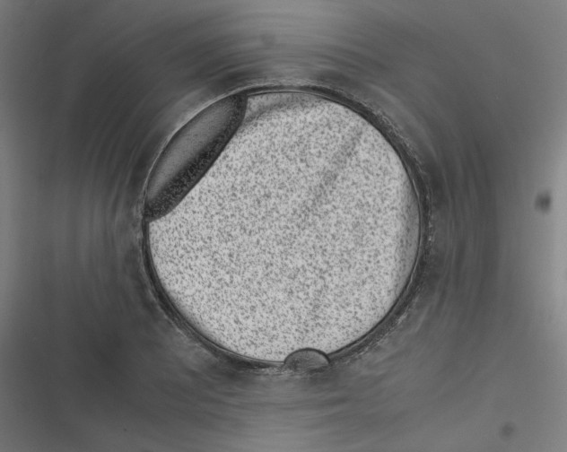 X0000116601081201001081144