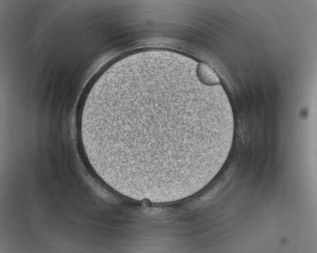 X0000116601082201001081144