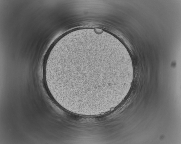 X0000116601083201001081144