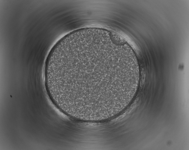 X0000116601084201001081144