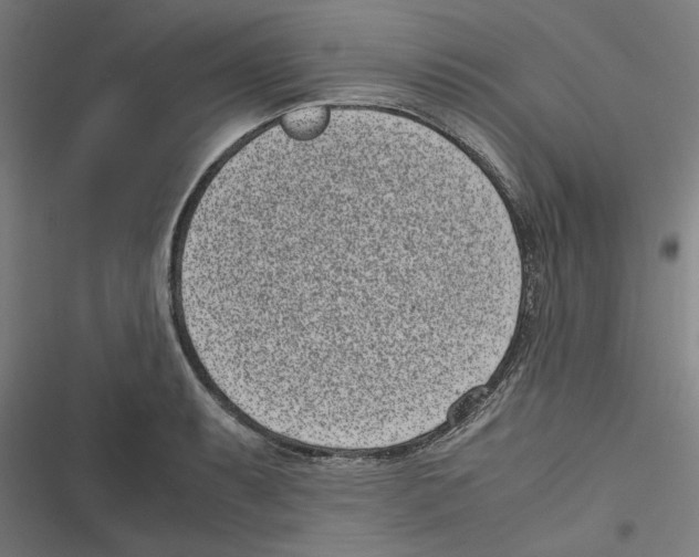 X0000116601087201001081144