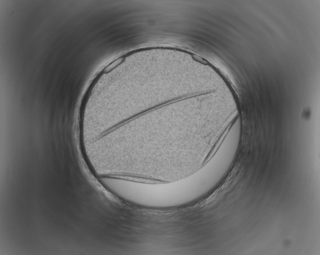 X0000116601088201001081144