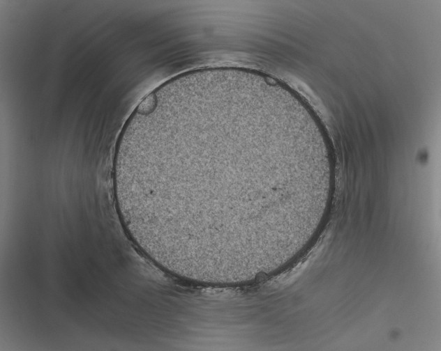 X0000116601089201001081144