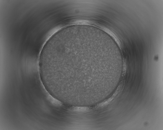 X0000116601090201001081144