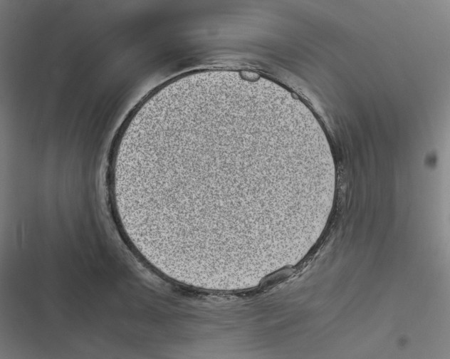 X0000116601091201001081144