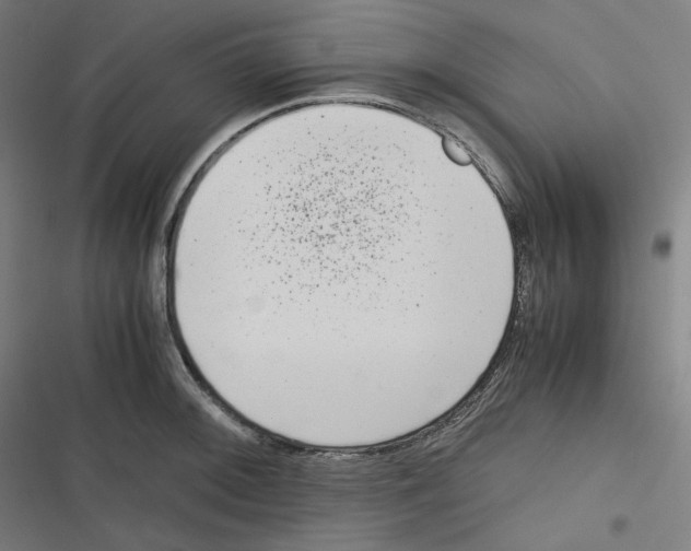X0000116601092201001081144