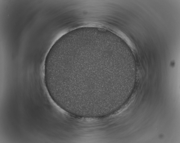 X0000116601095201001081144
