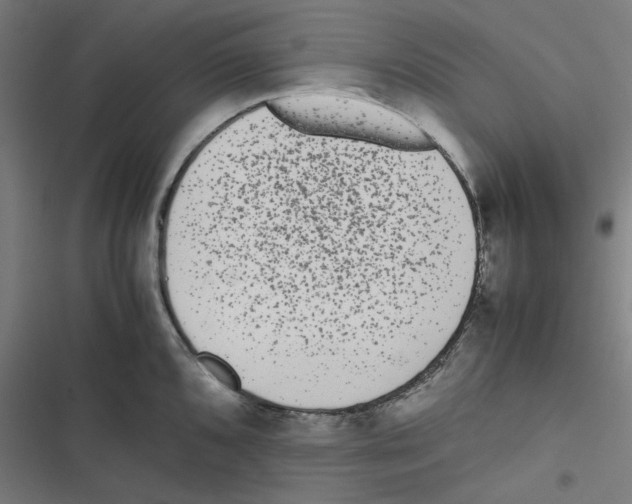 X0000116601096201001081144