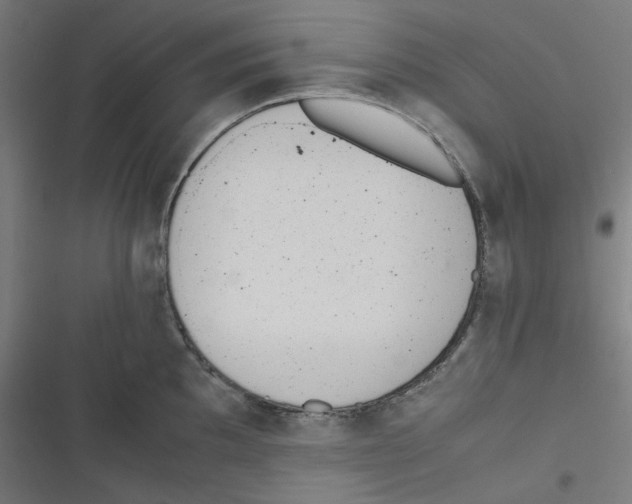 X0000116601097201001081144
