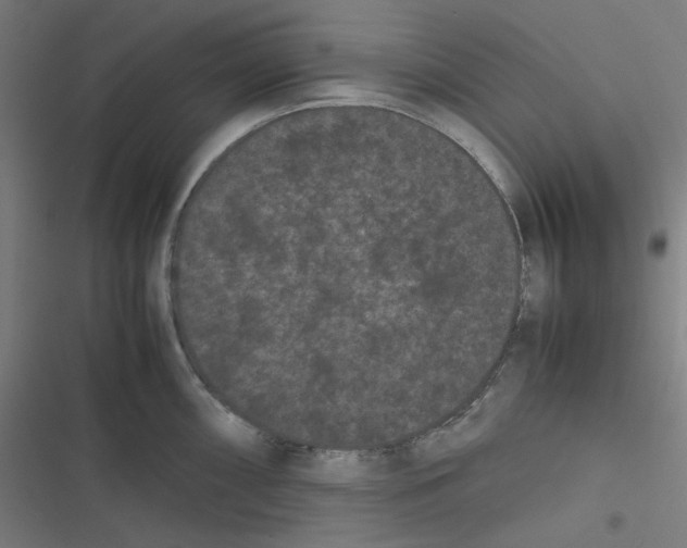 X0000116601098201001081144
