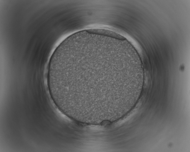 X0000116601102201001081144