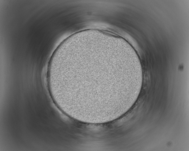 X0000116601103201001081144