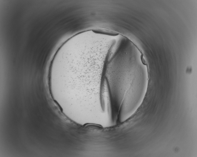 X0000116601104201001081144