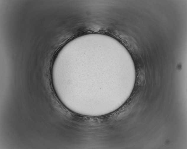 X0000116601105201001081144